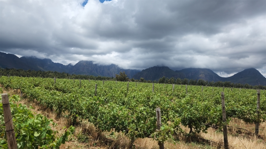 Commercial Property for Sale in Paarl Rural Western Cape